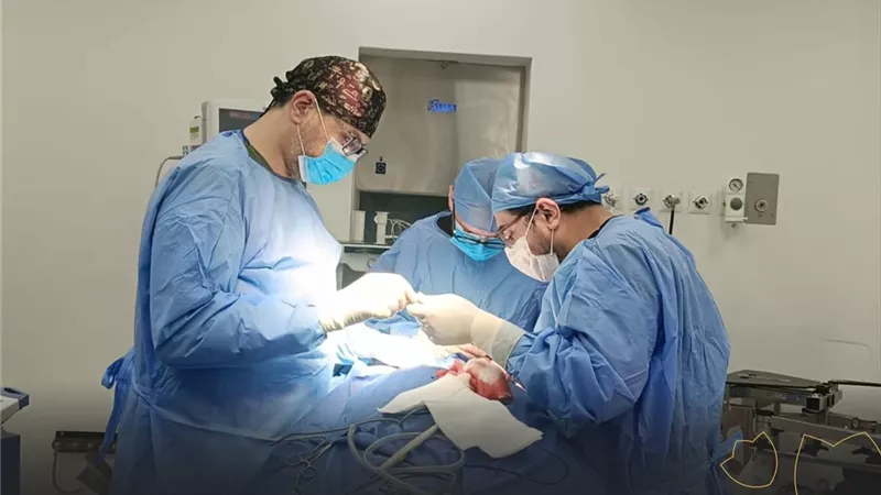 نجاح جراحة دقيقة بمجمع السويس الطبي تنقذ ساق شاب من البتر بعد استئصال ورم 