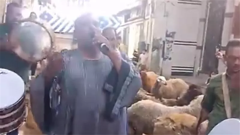 بالمزمار والطبل أهالي دمياط يستقبلون الأضاحي بأجواء من البهجة