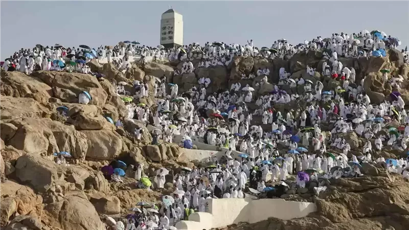 في مشهد إيماني مهيب.. ضيوف الرحمن يقفون على صعيد عرفات