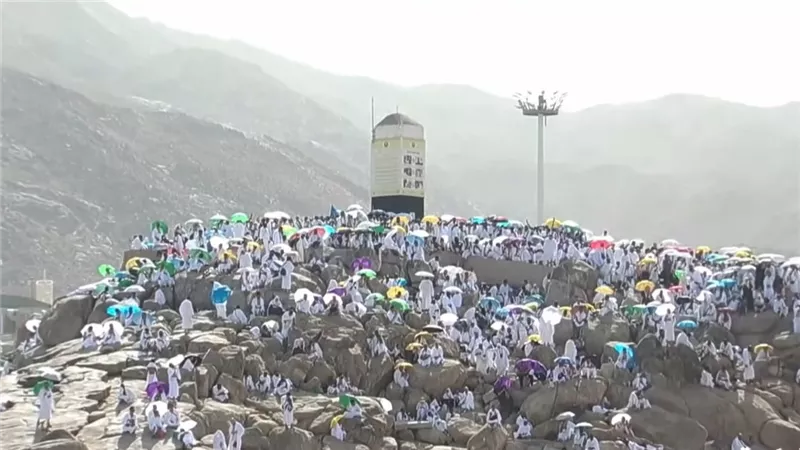 بث مباشر.. توافد حجاج بيت الله الحرام إلى صعيد عرفات لأداء ركن الحج الأعظم