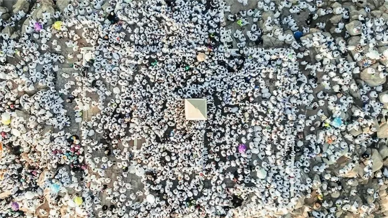 السعودية تعلن اكتمال تصعيد جميع الحجاج إلى مشعر عرفات