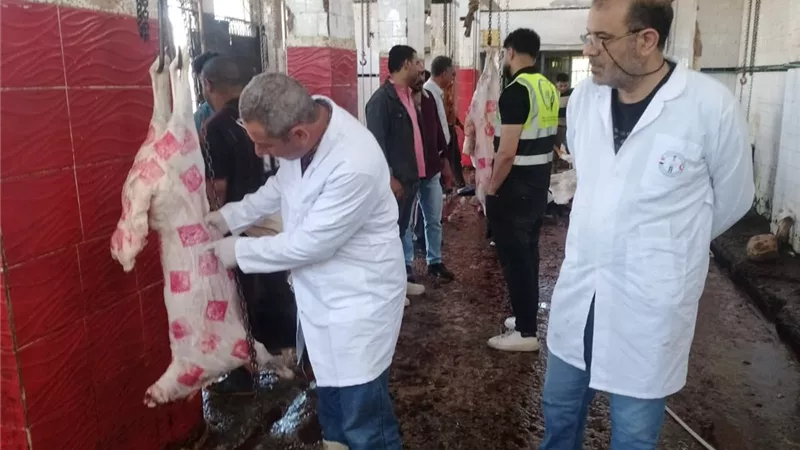 حملات مكثفة بدمياط لمراقبة الأسواق وضمان سلامة اللحوم قبل العيد