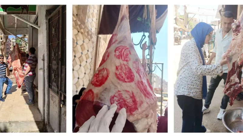 حملات بنى سويف تنجح فى ضبط مخالفات وتحرير محاضر لمحال جزارة 