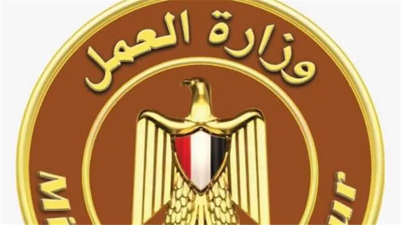 فرص جديدة وتدريب للشباب.. نشاط واسع لمديريات العمل بالمحافظات