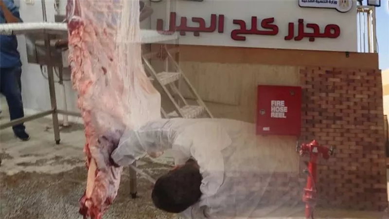 بتكلفة 21 مليون جنيه.. التشغيل التجريبي لمجزر «كلح الجبل» بمركز إدفو بأسوان