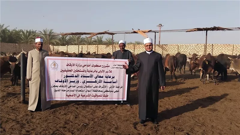 الأوقاف تجهز الأضاحي بمجازر أبو سمبل استعدادًا لعيد الأضحى ..تعرف على التفاصيل