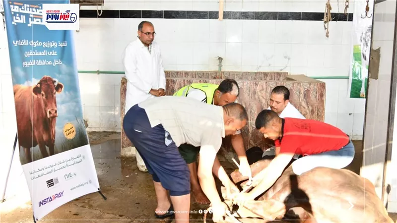 محافظ الفيوم يشهد ذبح أضاحي الجمعيات الأهلية لتوزيعها على الأولى بالرعاية 