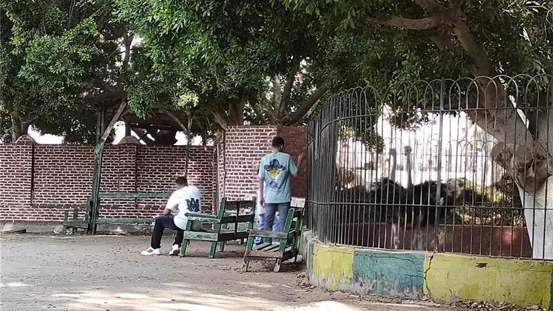 اعياد الشرقية.. متنزهات الغلابة تفتح ابوابها للمواطنين ورقابة على ذبح الاضاحي