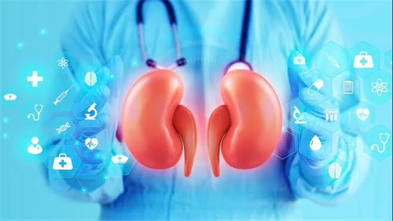 دراسة جديدة تربط خطر الإصابة بـ الخرف بضعف وظائف الكلى
