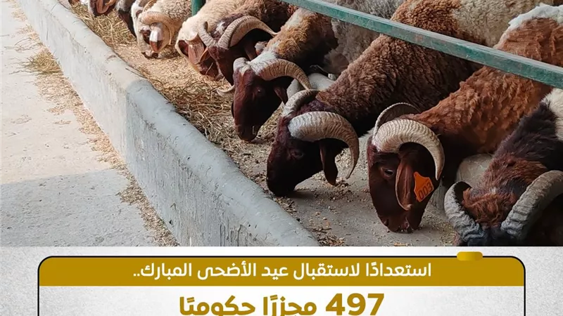 الزراعة: 497 مجزرا حكوميا عل مستوى الجمهورية تفتح أبوابها بالمجان طوال العيد