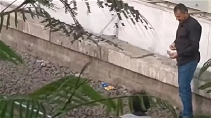الواقعة في محطة الجيزة.. تفاصيل فحص فيديو منسوب لقائد قطار بالسكة الحديد