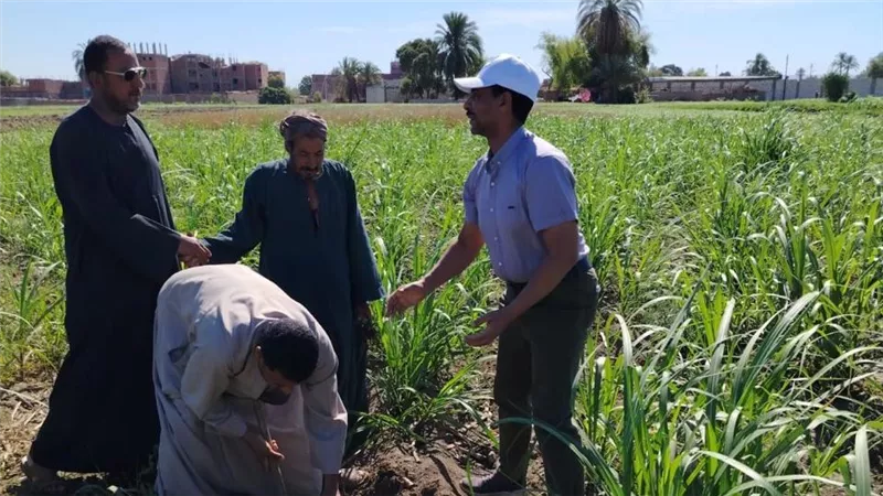 الزراعة تواصل دعم المزارعين وصرف الأسمدة في المحافظات خلال إجازة العيد