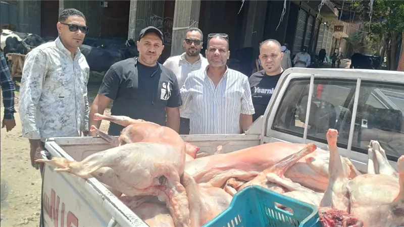 خلال إجازة عيد الأضحى.. ضبط 10 أطنان لحوم ومصنعات دواجن فاسدة بالجيزة 