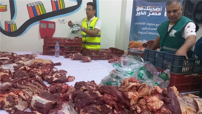 محافظ أسيوط: ذبح وتوزيع لحوم 45 رأس ماشية في ثالث أيام عيد الأضحى على الأسر