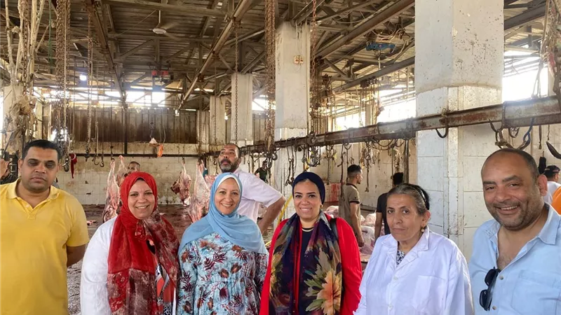 1671 أضحية بالمجزر النصف الآلي بجامعة الإسكندرية خلال أيام عيد الأضحى