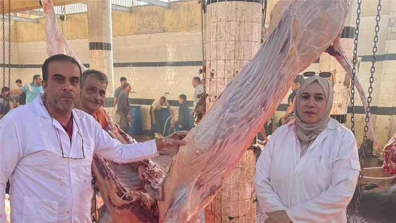 الزراعة تعلن ذبح 35,514 أضحية بالمجازر الحكومية مجاناً للمواطنين بالعيد الأضحي
