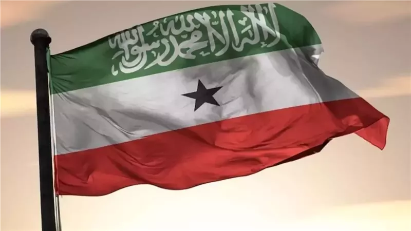 من حلمي الجزار للتمثيل الحزبي.. أصابع جماعة الإخوان في صوماليلاند
