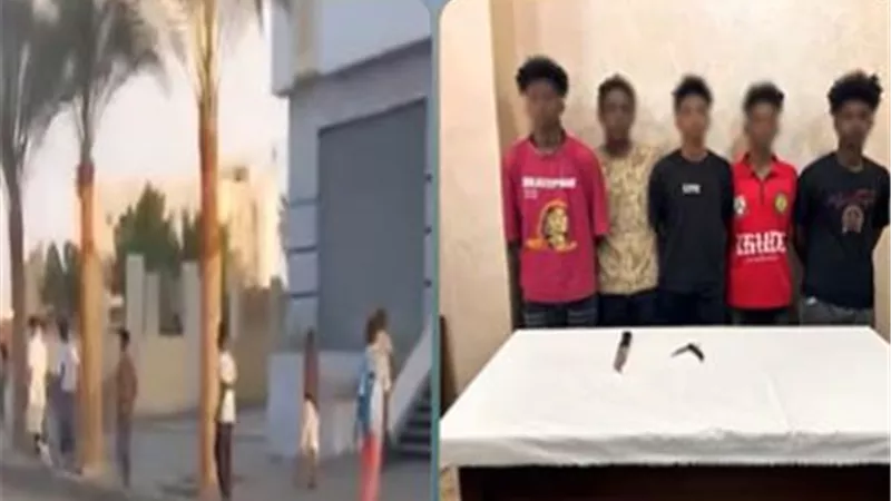القبض على 4 أفارقه لقيامهم برشق السيارات بالحجارة بالمنوفية