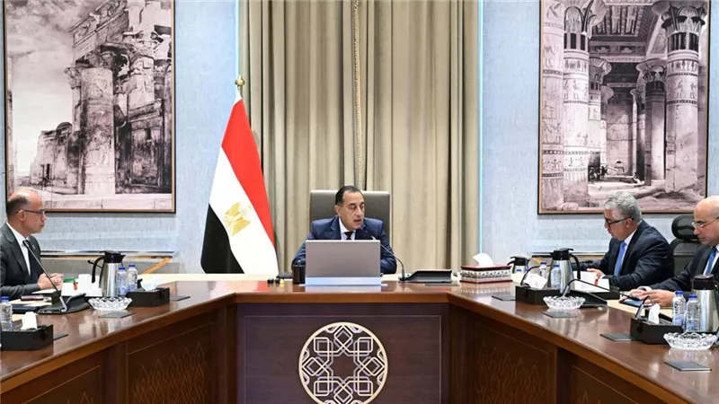 رئيس الوزراء يبحث مقترح إنشاء مركز توزيع لوجيستي عالمي باقتصادية قناة السويس 