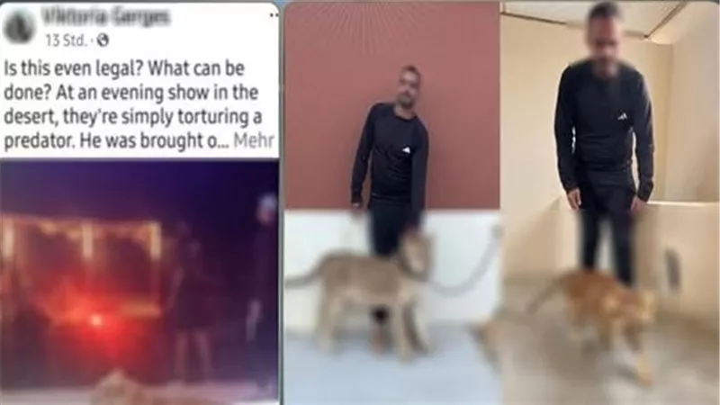 أسود في شوارع شرم الشيخ.. «الداخلية» تضبط صاحب عروض ترفيهية بدون ترخيص