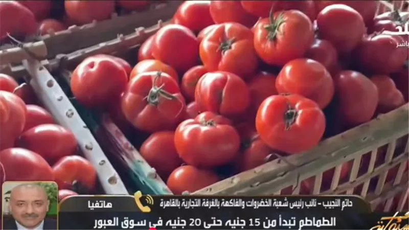 تناول الطماطم يوميًا قد يساعد على تقليل تراكم الدهون في الكبد