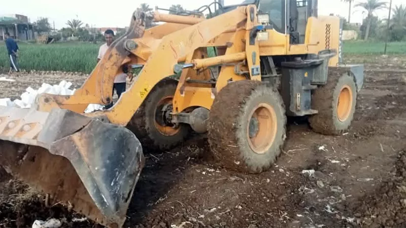 إزالة 157 حالة تعد بالمرحلة الثانية من الموجة 29 في بني سويف