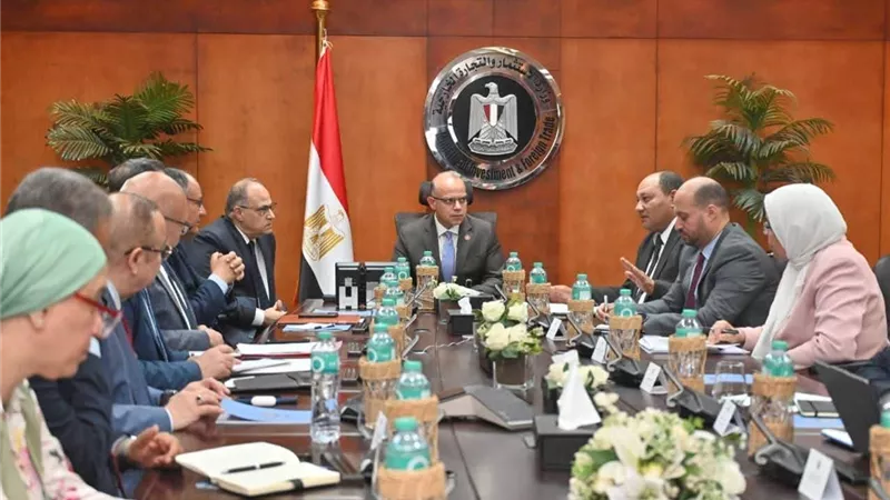 تحالف ثلاثي بين الاستثمار والزراعة والدواء لدعم الصادرات المصرية
