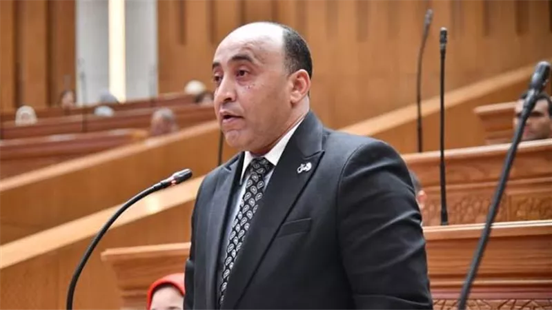 حسام حسن يفتح ملف مبادرة «القرية المنتجة» ويطالب بخطة واضحة للتنفيذ والاستدامة