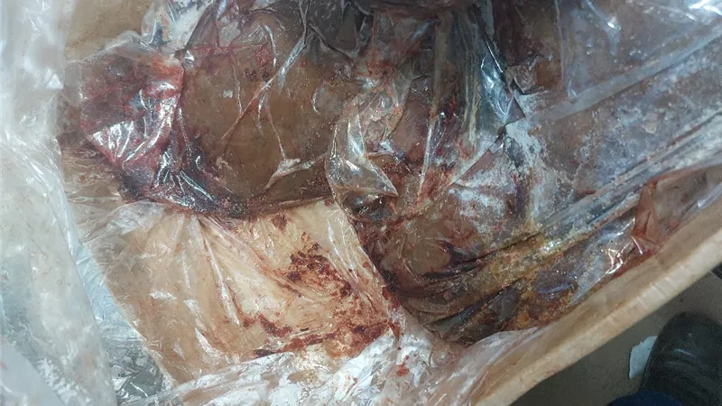 ضبط ربع طن لحوم ودجاج غير صالحة للاستهلاك الآدمي بحي شرق سوهاج