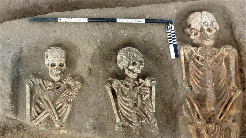  “سجل تاريخي عبر العصور”.. كشف أثري كبير في محافظة البحيرة 
