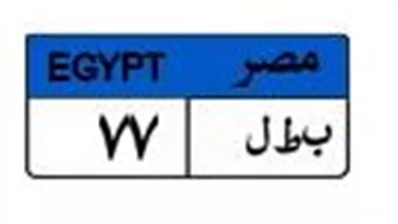 بمليون و600 ألف جنيه.. صراع ثنائي على لوحة السيارة «بطل 77»