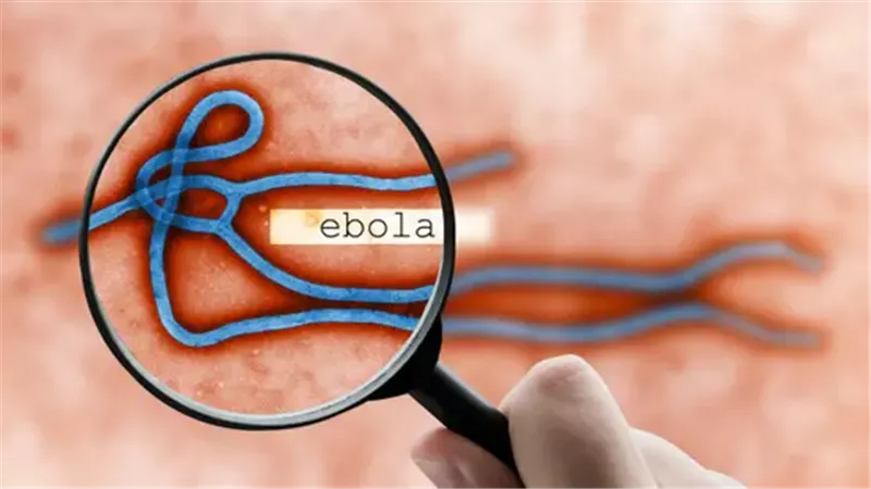 الكونجو تحذر من تسارع انتشار إيبولا وتعلن تسجيل 71 إصابة جديدة
