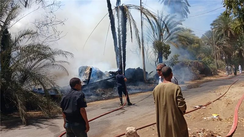 نفوق 6 رؤوس ماشية ومواتير إثر نشوب حريق فى قوص بقنا