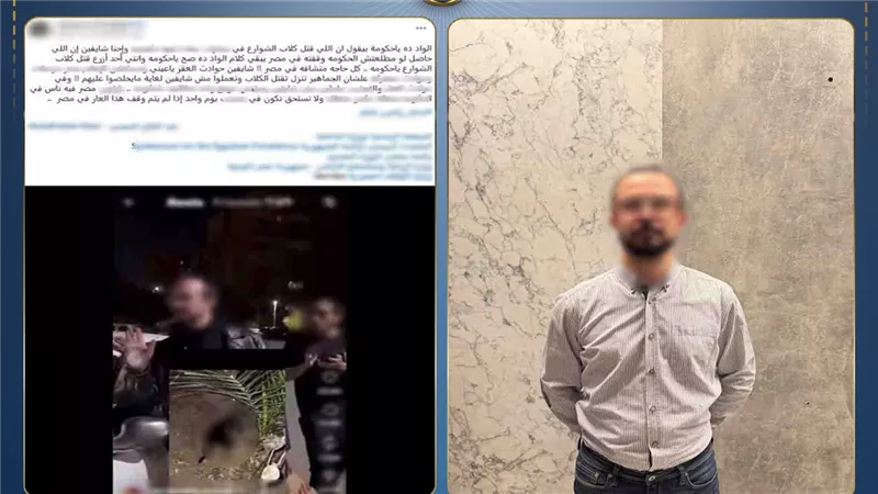 النيابة تحقق في واقعة اتهام شخص بتسميم كلاب ضالة بمدينة نصر