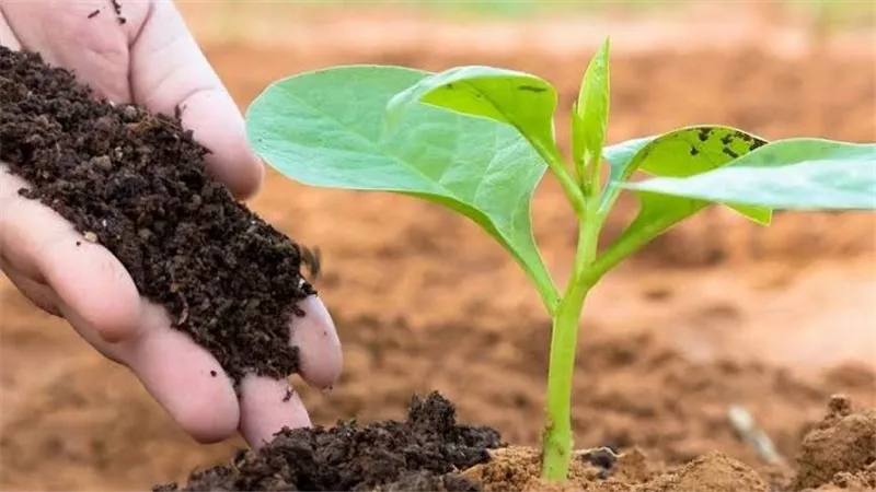 قبل بيعها بالسوق السوداء.. ضبط 2.5 طن أسمدة زراعية مدعمة بأسيوط