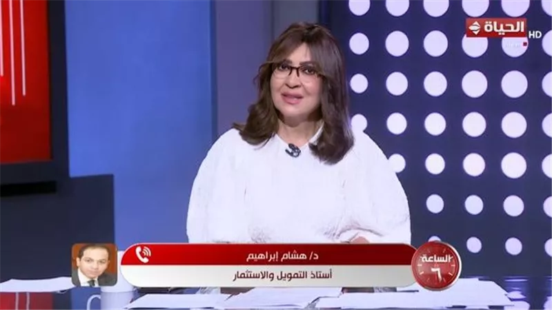أستاذ تمويل: النقل أساسي لدعم الاقتصاد ومصر حلقة وصل رئيسية بين أوروبا والخليج