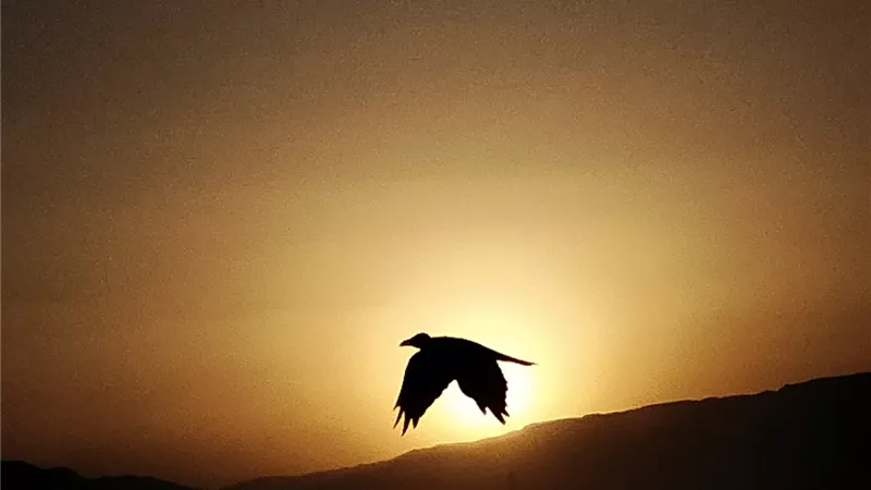 غروب السويس.. لوحة ربانية تأسر العيون على ممشى أهل السويس