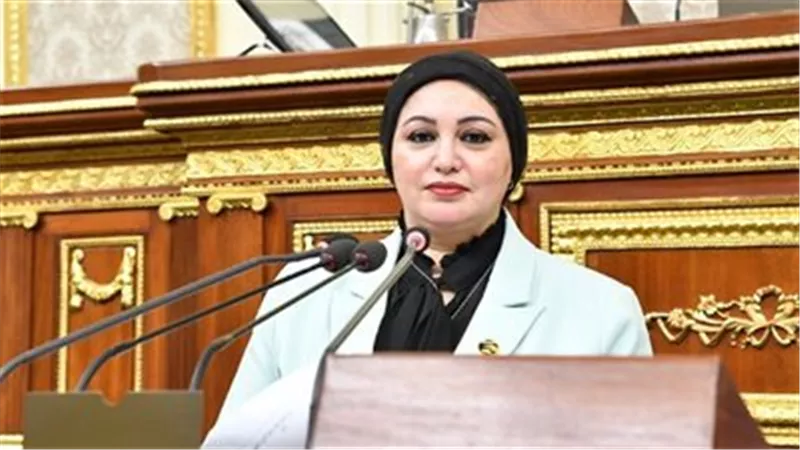 طلب إحاطة عاجل بشأن تفاقم أزمة أطفال الشوارع وغياب خطط المواجهة