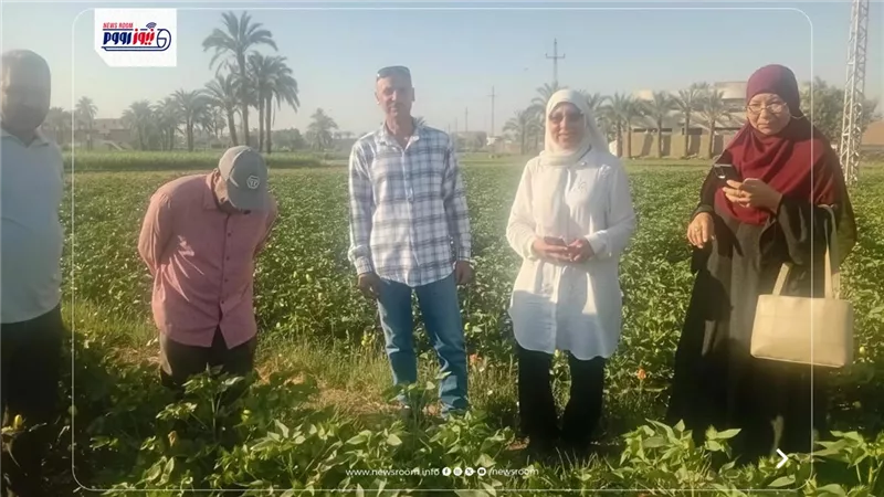 الزراعة تطلق الدفعة الأولى من طفيل «التريكوجراما» لمكافحة الآفات بالفيوم