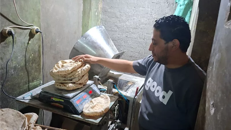 من أجل رغيف خبز.. تحرير 69 محضرًا خلال حملات رقابية مكثفة بالمحلة