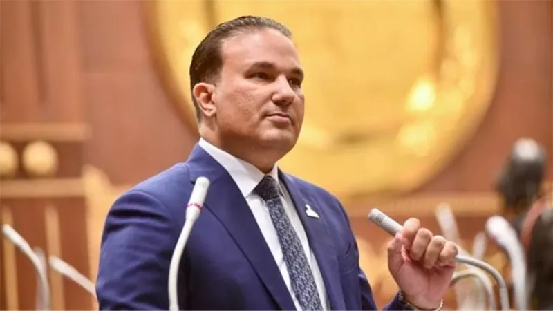 النائب تامر عبد الحميد: الرقابة وإعادة الهيكلة ركائز الإدارة الرشيدة للموارد العامة