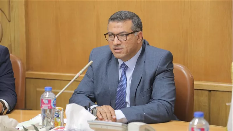 محافظ قنا يتفقد مشروع 