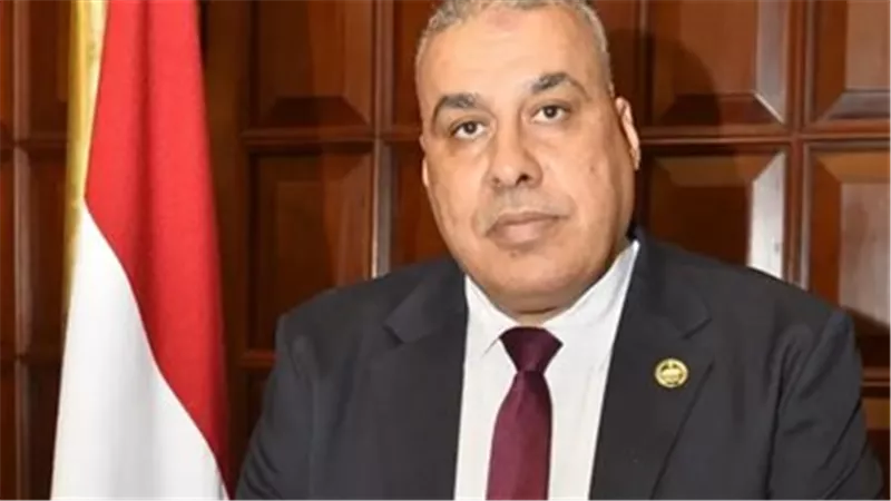 أبو النصر : زيادة مخصصات الصحة والتعليم والإسكان تؤكد توجه الدولة للاستثمار 