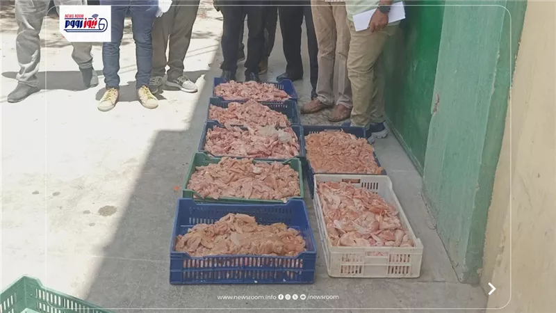ضبط ومصادرة أكثر من نصف طن لحوم فاسدة ومذبوحة خارج المجازر بالمنيا