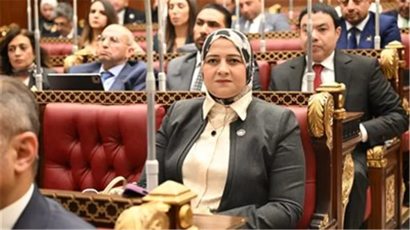 مروة قنصوه: خطة التنمية 2026/2027 تعكس رؤية طموحة للدولة المصرية