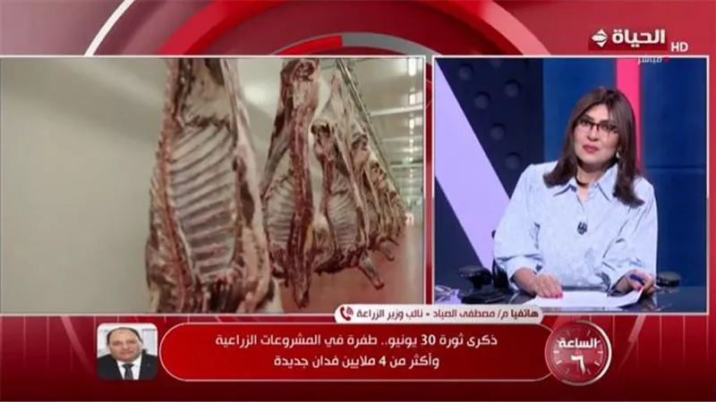 الزراعة: إنتاج 7 ملايين طن ألبان طازجة سنويا وتغطية 60% من استهلاك اللحوم