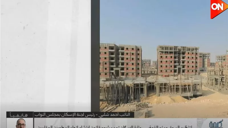 أحمد شلبي: اتحاد المطورين العقاريين يستهدف تنظيم السوق وحماية حقوق الدولة