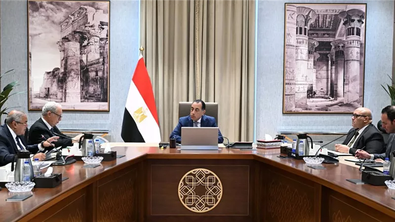 رئيس الوزراء يتابع جهود تنفيذ خطة إعادة هيكلة وحوكمة الشركات المملوكة للدولة