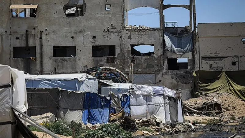 فاينانشال تايمز: تفاقم انتشار القوارض في غزة وسط تراكم الأنقاض والجثث