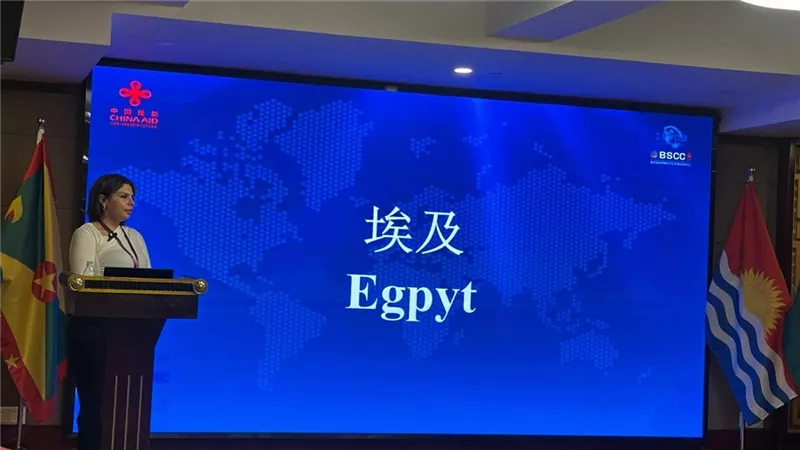 المصرى الديمقراطى يستعرض تجربة مصر والصين في الاقتصاد الرقمي ومكافحة الفقر